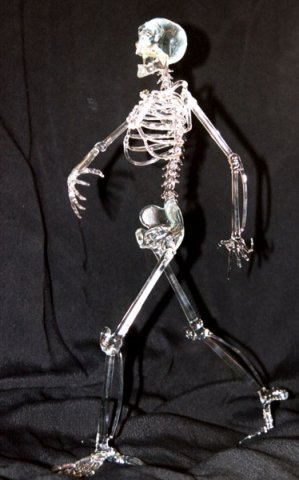 john-zinner-skelett